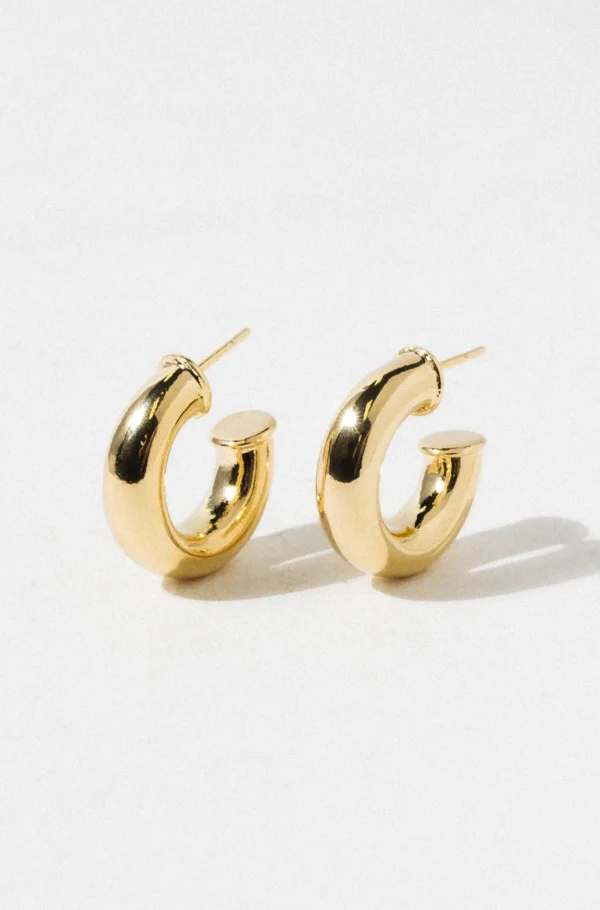 Elegant Golden Hoop Earrings