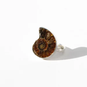Exquisite Ammonite Ring